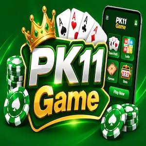 pk11 game